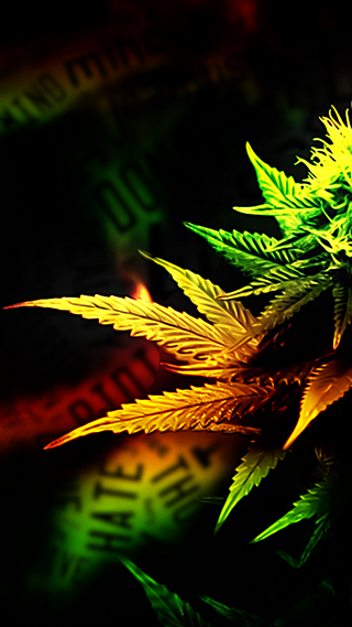 420 Home Screen Phone Wallpaper