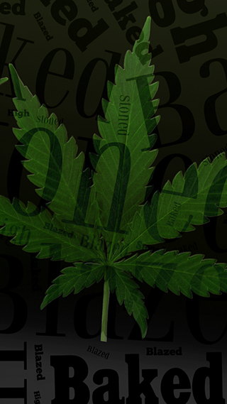 420 Truth Phone Wallpaper