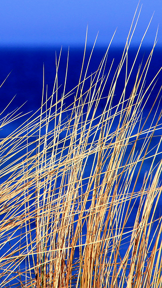 Beach Blue Phone Wallpaper