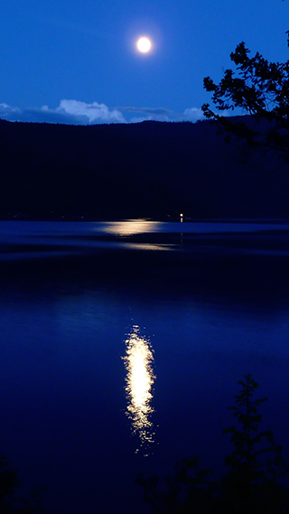 Blue Midnight Phone Wallpaper