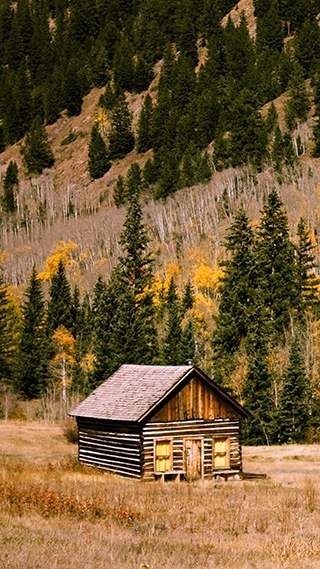 Cabin Fever Phone Wallpaper