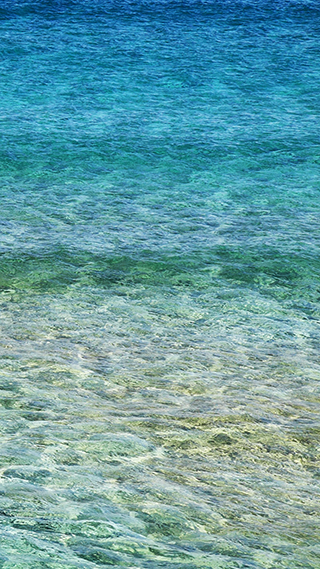 Calm Shore Phone Wallpaper