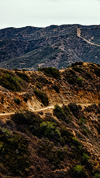 Catalina Island Phone Wallpaper