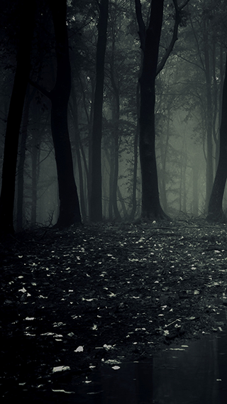 Dark Forest Phone Wallpaper