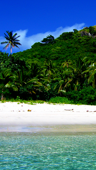 Fiji Phone Wallpaper
