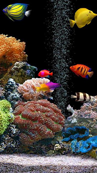 Fish Tank Phone Wallpaper