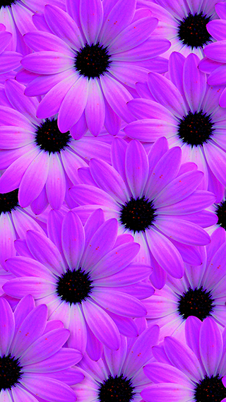 Flower Vision Phone Wallpaper