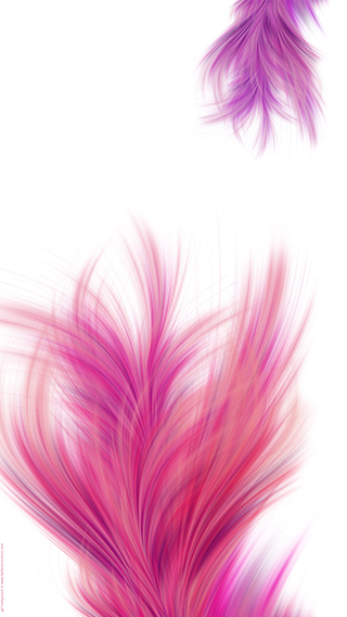 Fluffy Feathers Phone Wallpaper