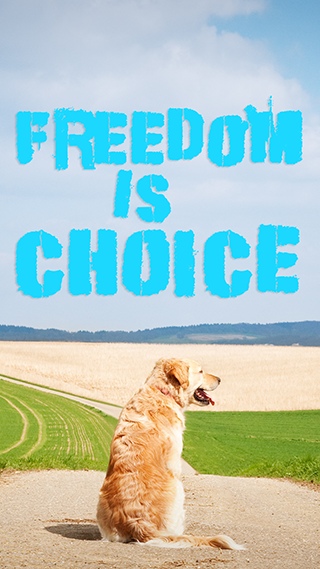 Freedom Is A Choice Phone Wallpaper
