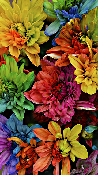 Garden Flowers Phone Wallpaper