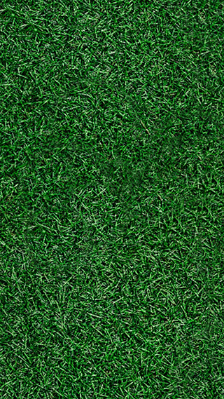 Grass Pitch Phone Wallpaper
