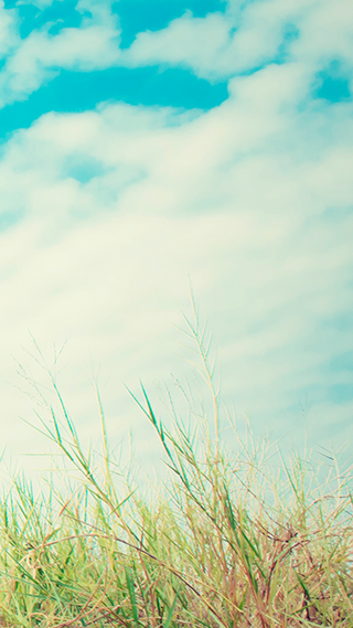 Grassy Skies Phone Wallpaper