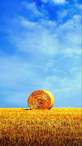 Hay Bale Phone Wallpaper