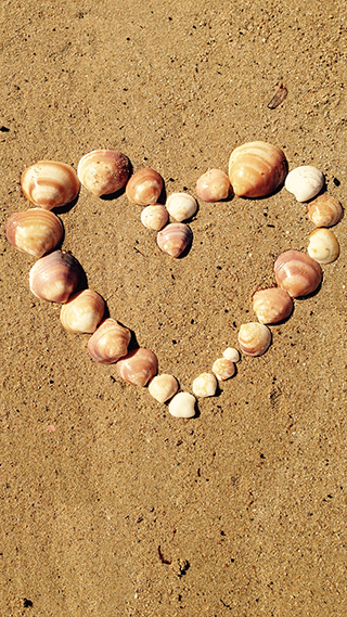Heart Shells Phone Wallpaper