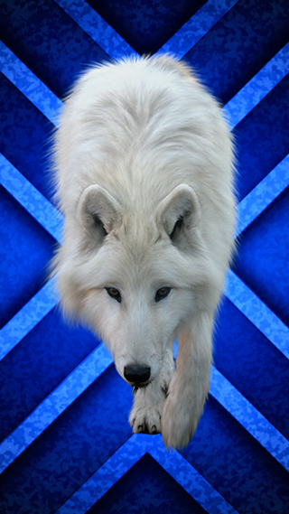 Ice Wolf Phone Wallpaper