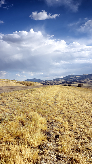 Idaho Phone Wallpaper