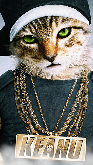 Keanu Cat Phone Wallpaper