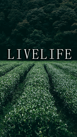 Live Life Inspirational Phone Wallpaper
