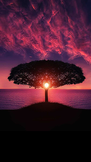 Magic Sunset Phone Wallpaper