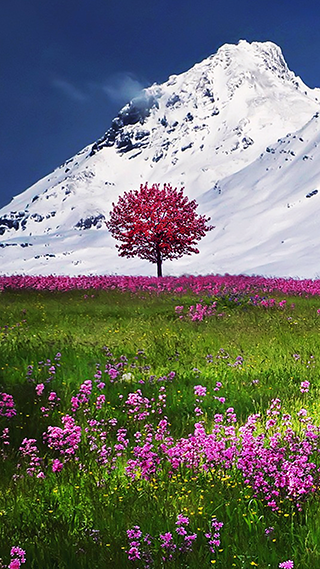 Mountain Flowers Phone Wallpaper