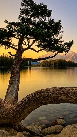 Natural Beauty Phone Wallpaper