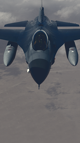 Night Hawk Phone Wallpaper