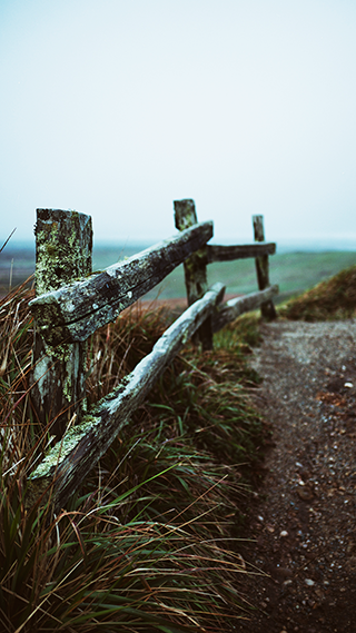 Outdoors Phone Wallpaper