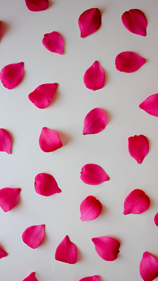 Rose Petals Phone Wallpaper