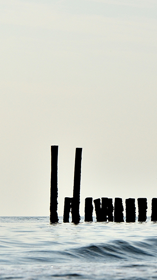 Sea Bliss Phone Wallpaper