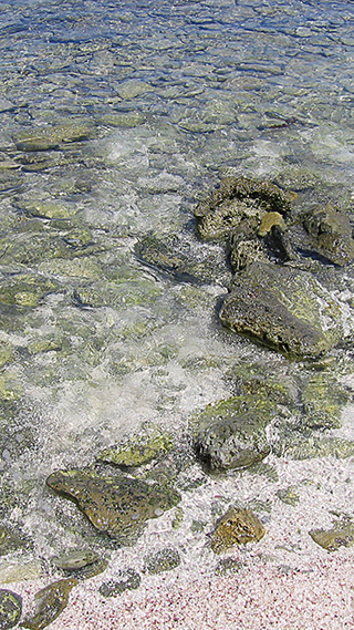 Shallow Shore Phone Wallpaper