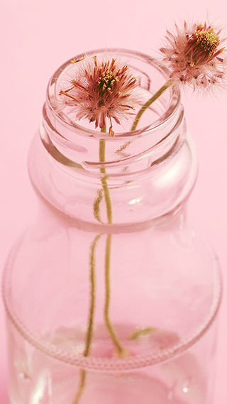 Simple Pink Phone Wallpaper