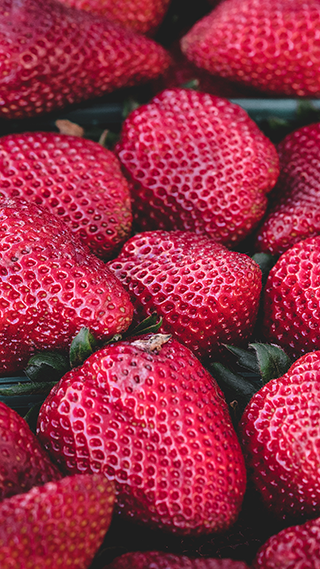 Strawberries Phone Wallpaper
