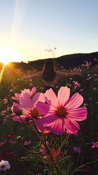 Wild Flowers Phone Wallpaper