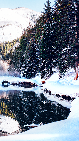 Winter Lake Phone Wallpaper