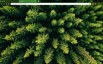 Green Trees Google Chrome Theme