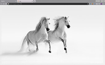 Horses in Snow Google Chrome Theme