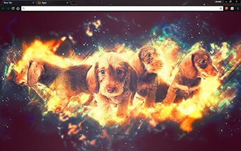 Moonstone Puppies Google Chrome Theme