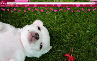 Puppy Love Google Chrome Theme