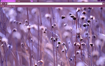Purple Ambiance Google Chrome Theme