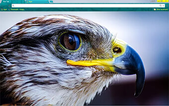 Raptor Google Chrome Theme