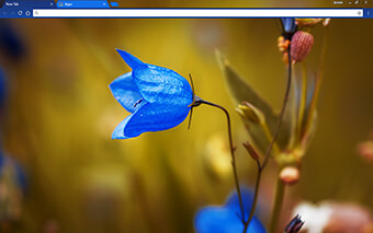 Round Bell Flower Google Chrome Theme