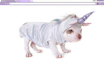 Unicorn Puppy Google Chrome Theme
