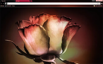Vintage Rose Google Chrome Theme