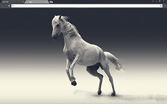 White Mare Google Chrome Theme