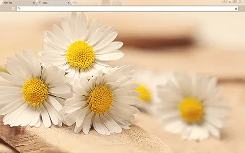 Daisy Days Google Chrome Theme