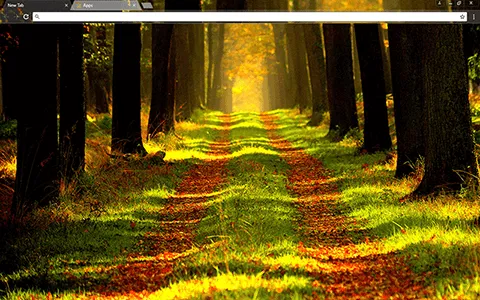 Forest Way Google Chrome Theme