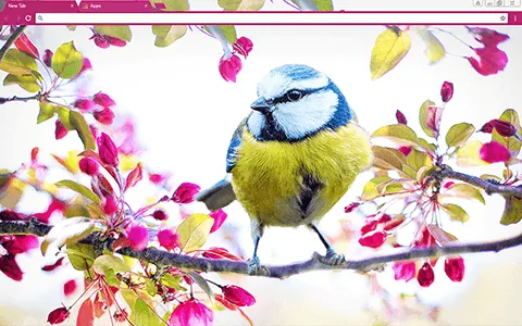 Happy Birdy Google Chrome Theme