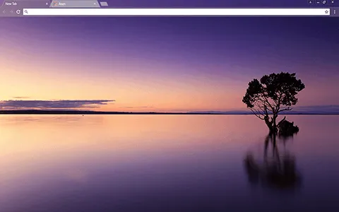 Late Sunset Google Chrome Theme