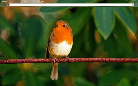 Red Robin Google Chrome Theme