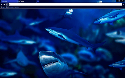 Free Sharks Google Chrome Theme